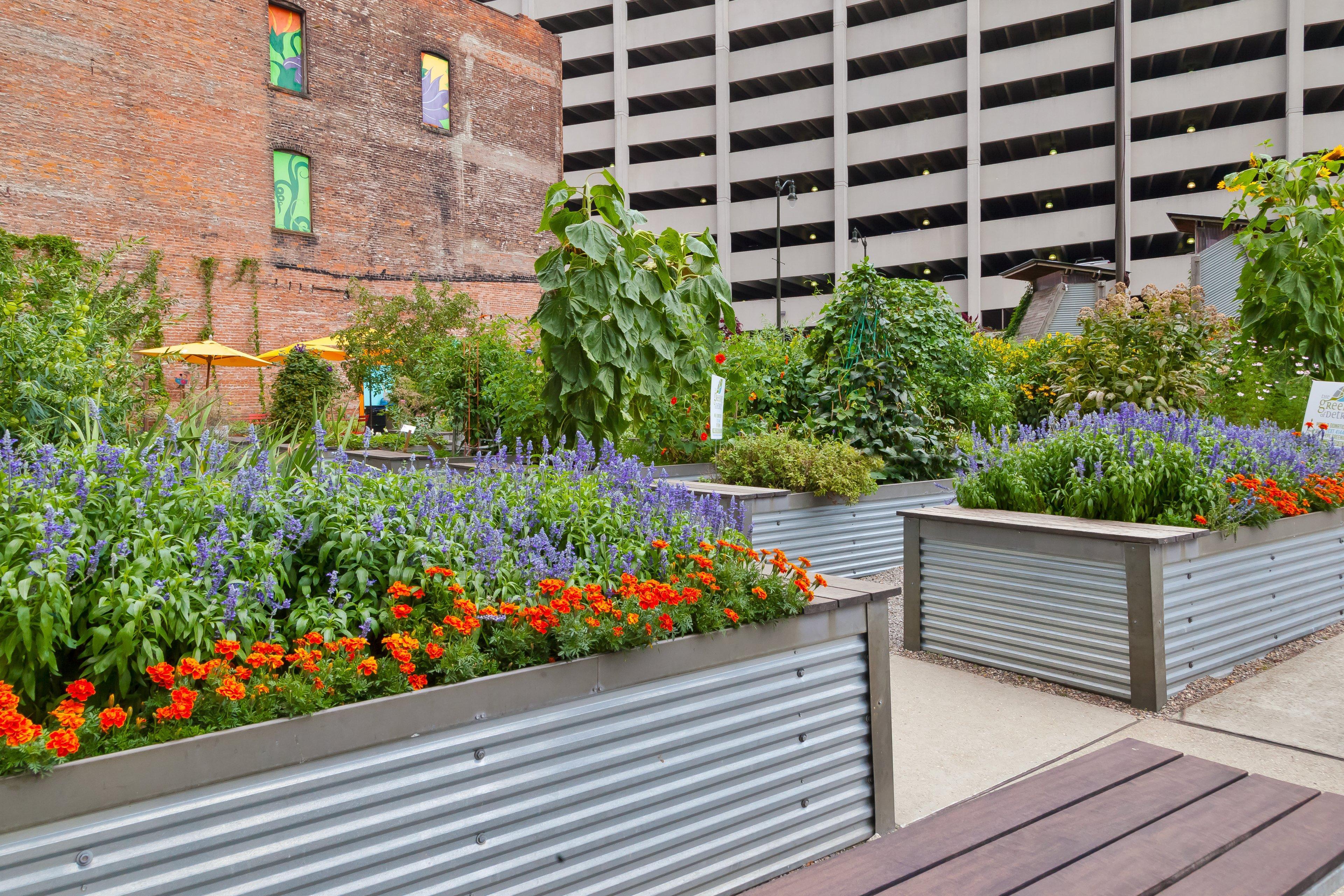 Hotel Indigo Detroit Downtown By Ihg エクステリア 写真
